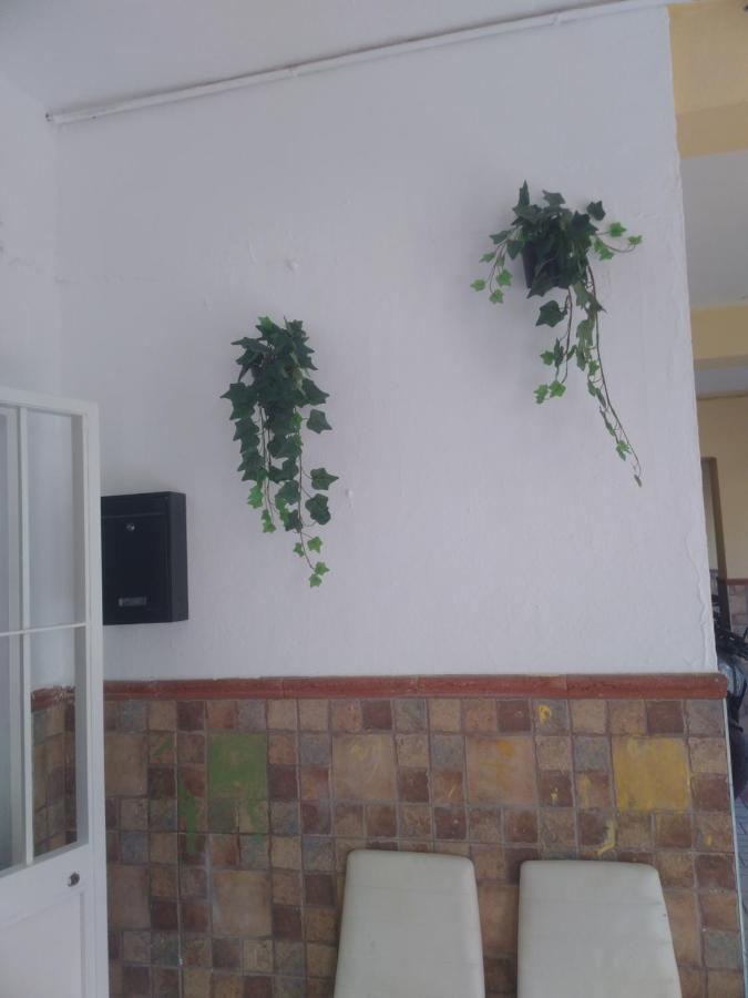 Precioso Apartamento Moderno Cerca Del Carrefour Rosaleda Malaga Zewnętrze zdjęcie